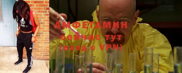 прущие грибы Лихославль