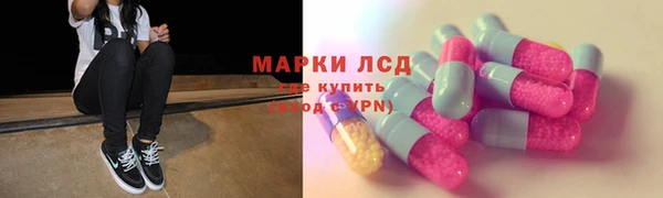 прущие грибы Лихославль