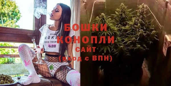 Альфа ПВП Лиски