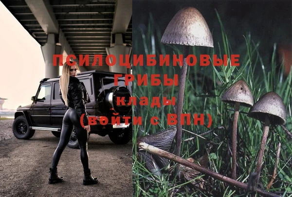 Альфа ПВП Лиски