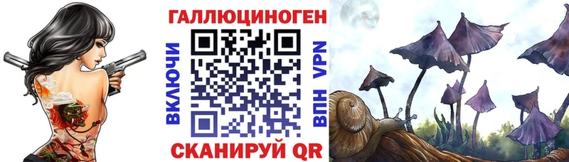 Галлюциногенные грибы Psilocybe  кракен как войти  Городище 